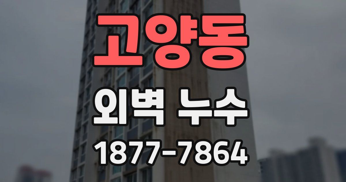 고양동 외벽 누수