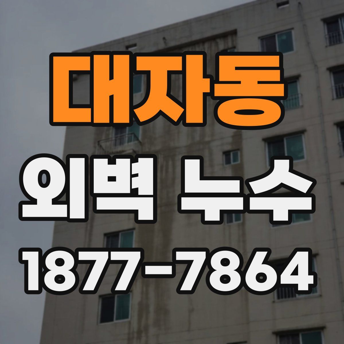 대자동 외벽 누수