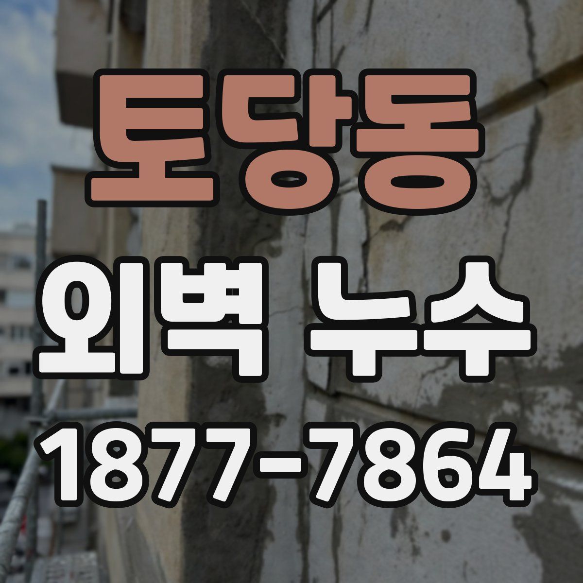 토당동 외벽 누수