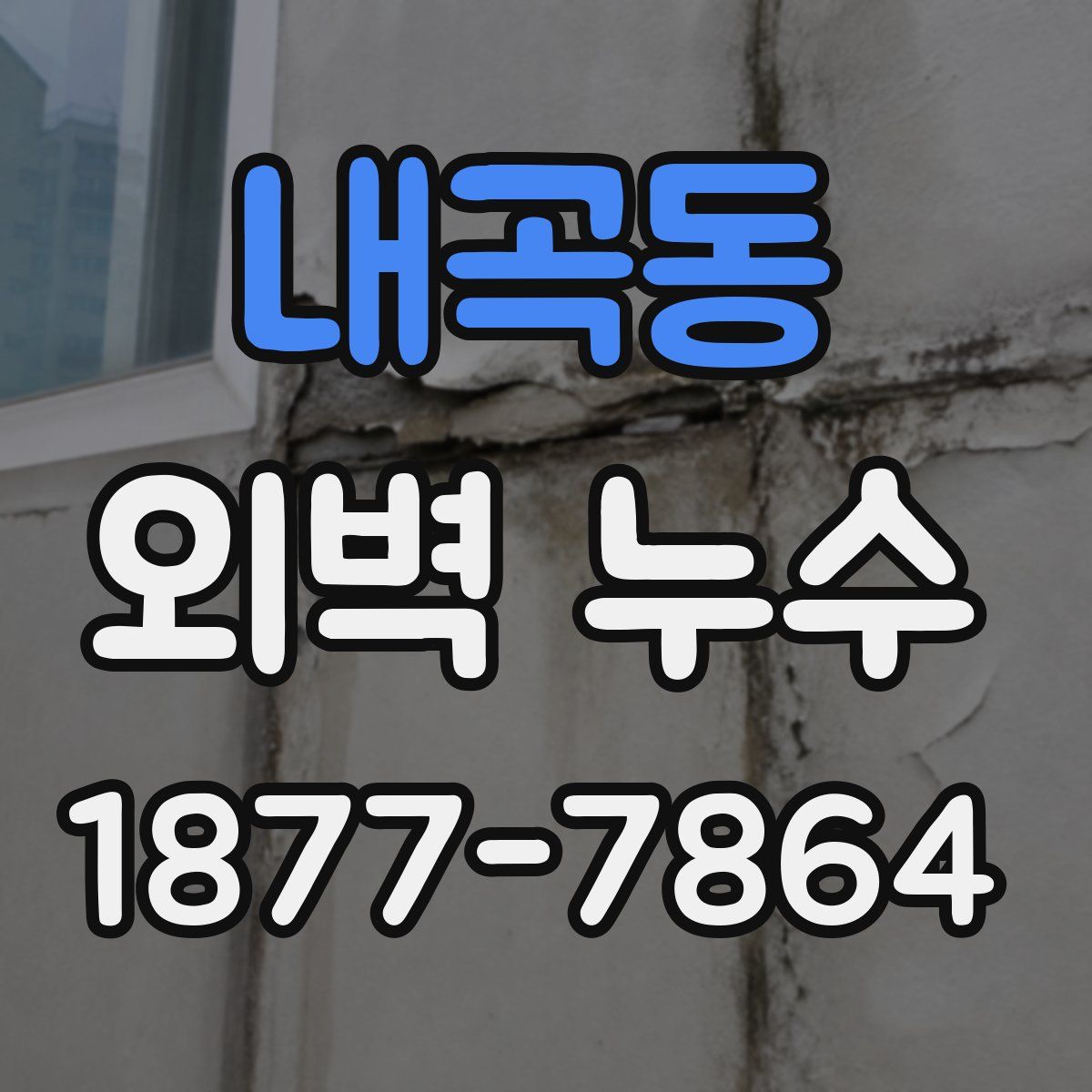 내곡동 외벽 누수