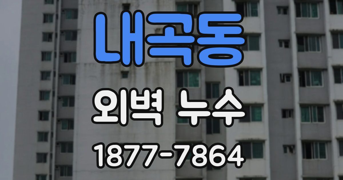 내곡동 외벽 누수