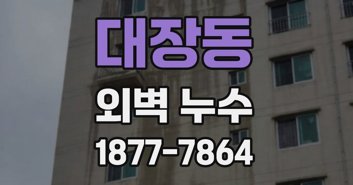 대장동 외벽 누수