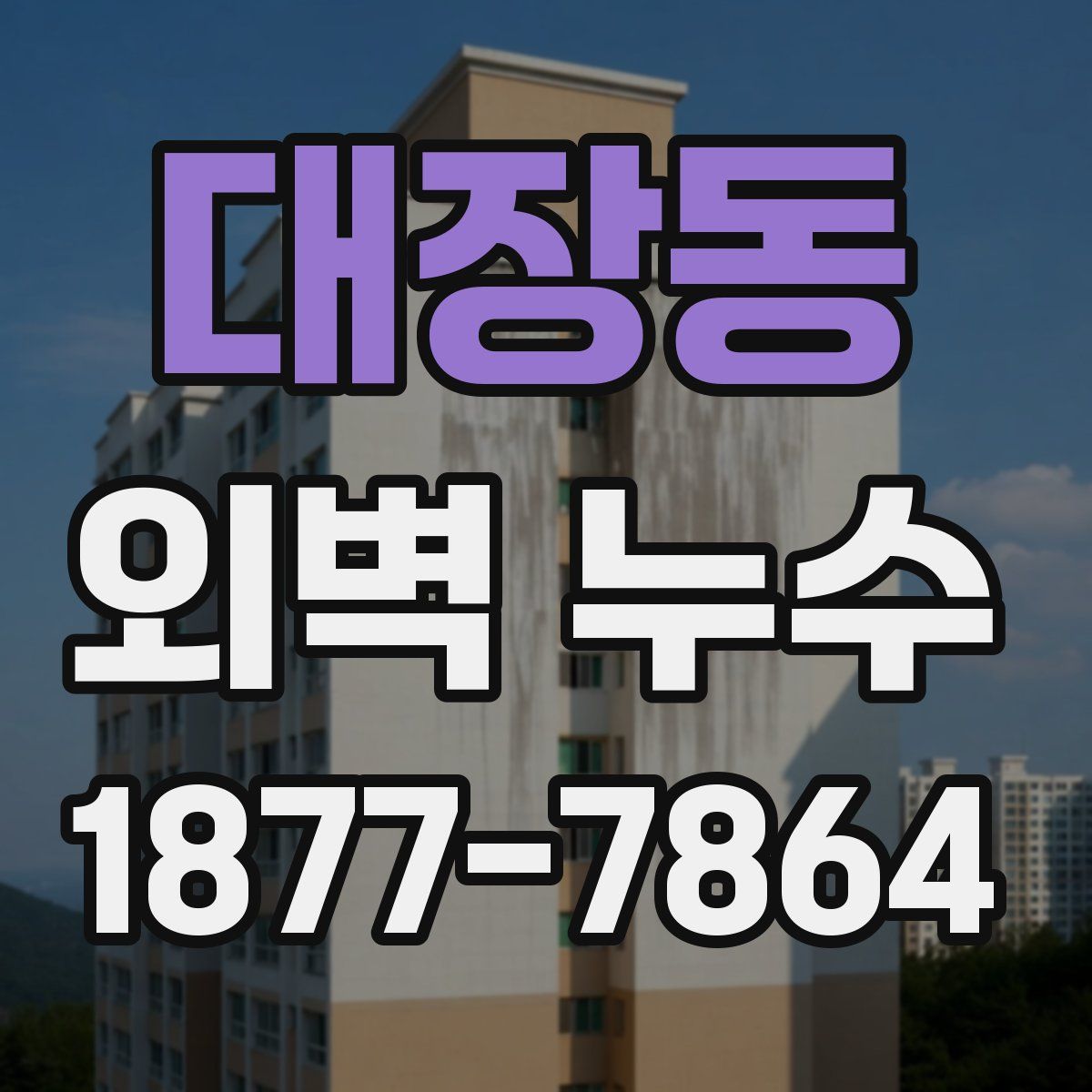 대장동 외벽 누수