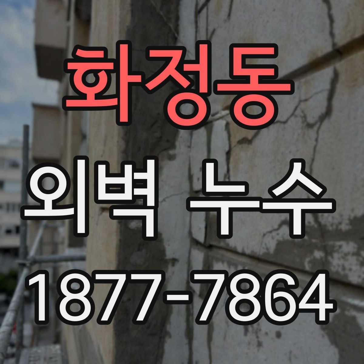 화정동 외벽 누수 의심 시 바로 확인할 외부 마감재