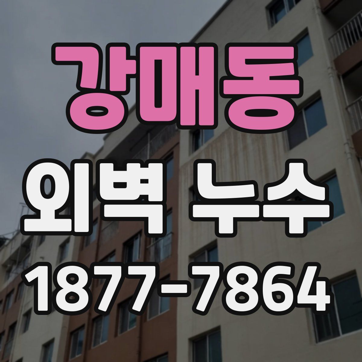 강매동 외벽 누수