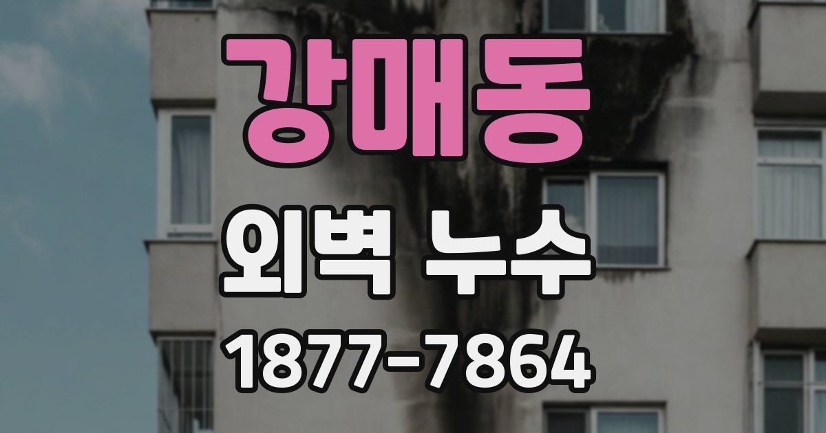 강매동 외벽 누수