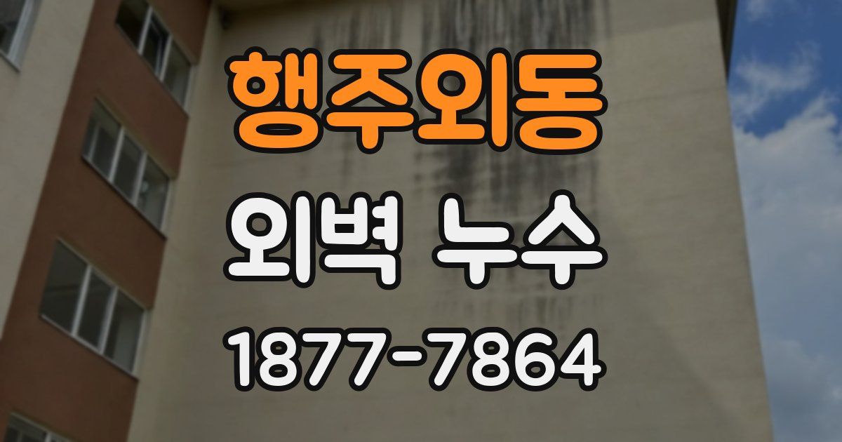 행주외동 외벽 누수
