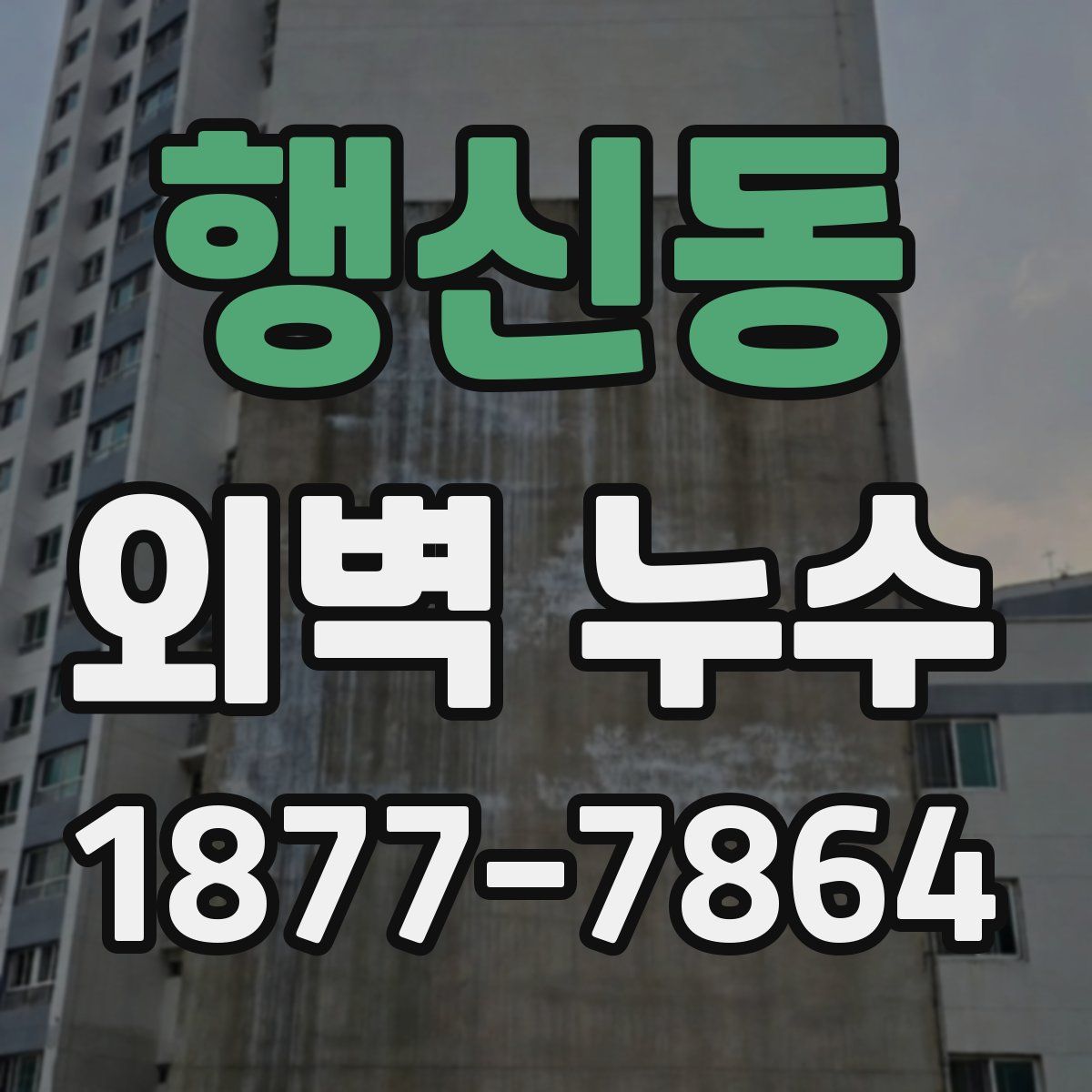 행신동 외벽 누수