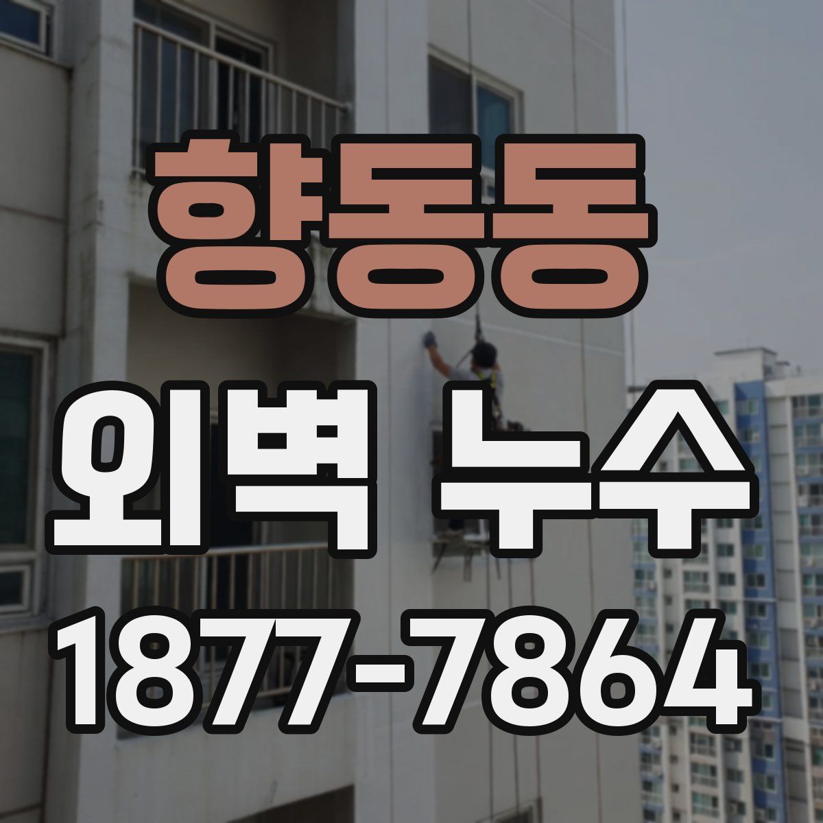 향동동 외벽 누수
