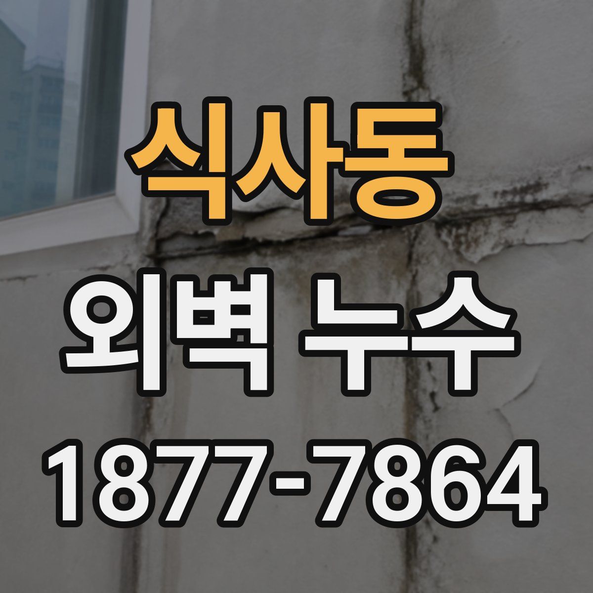 식사동 외벽 누수