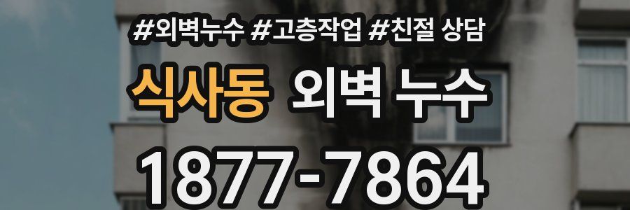 식사동 외벽 누수