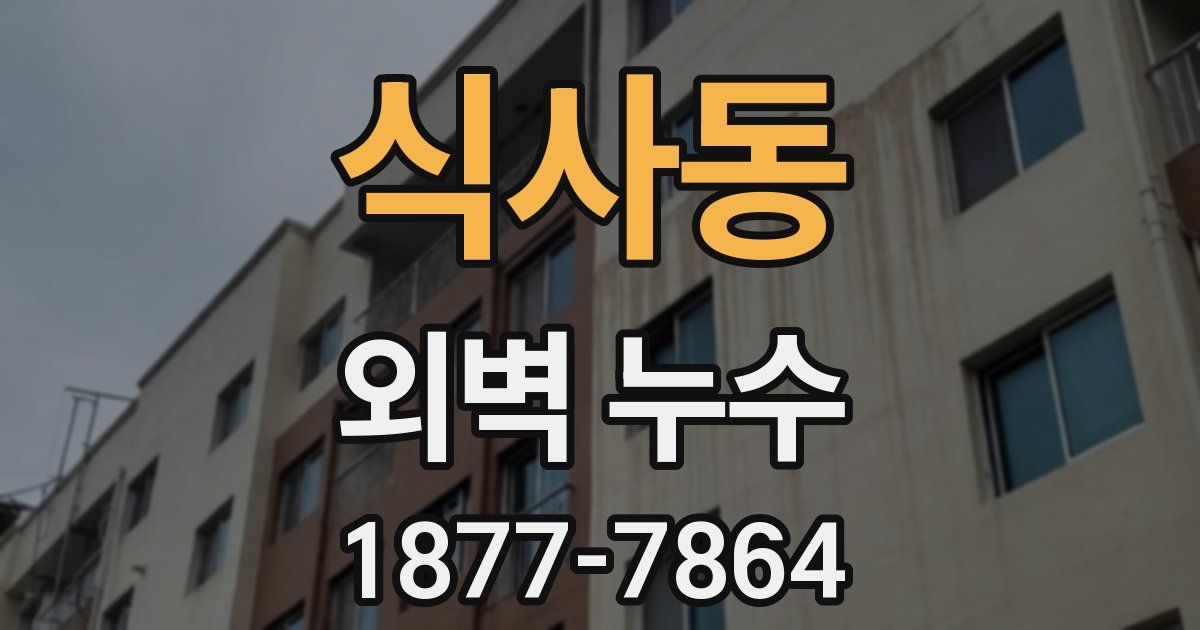 식사동 외벽 누수