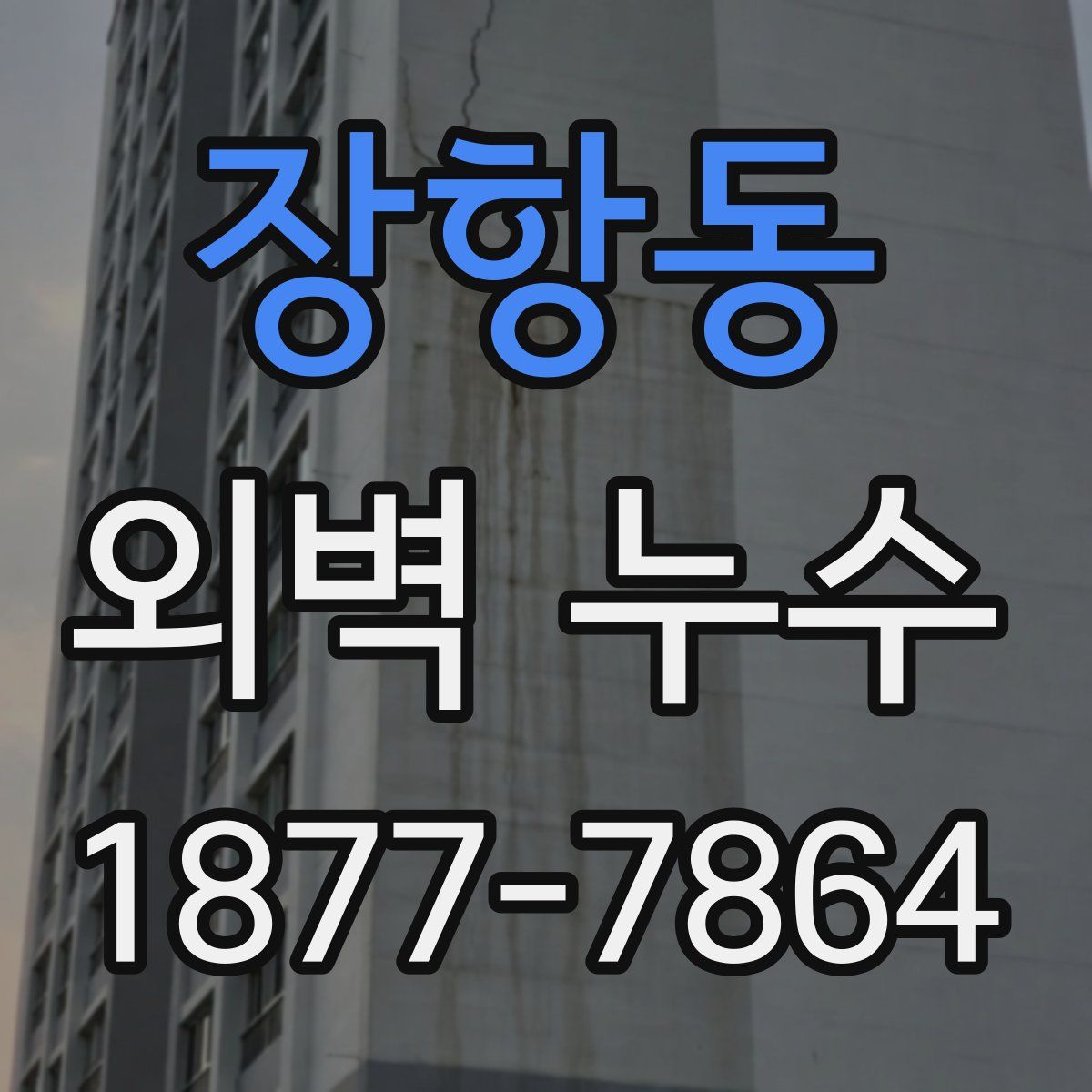 장항동 외벽 누수