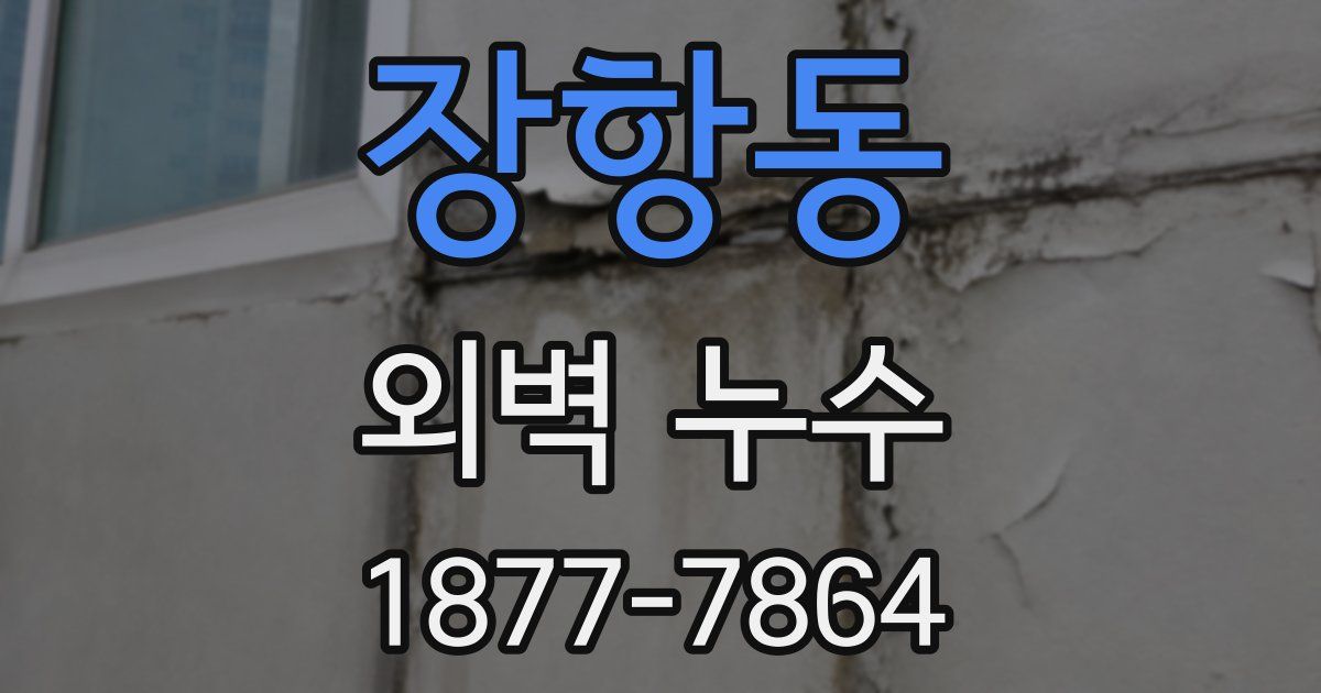 장항동 외벽 누수