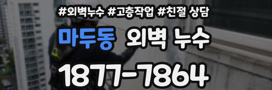 마두동 외벽 누수