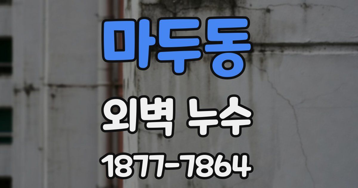 마두동 외벽 누수