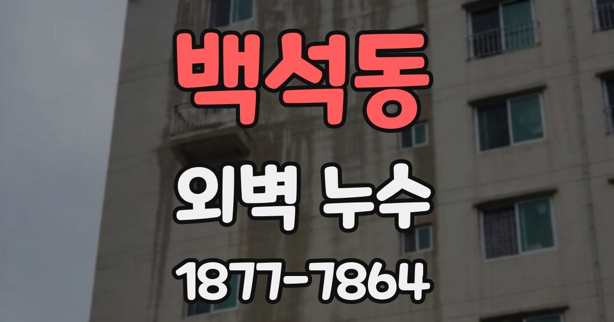 백석동 외벽 누수