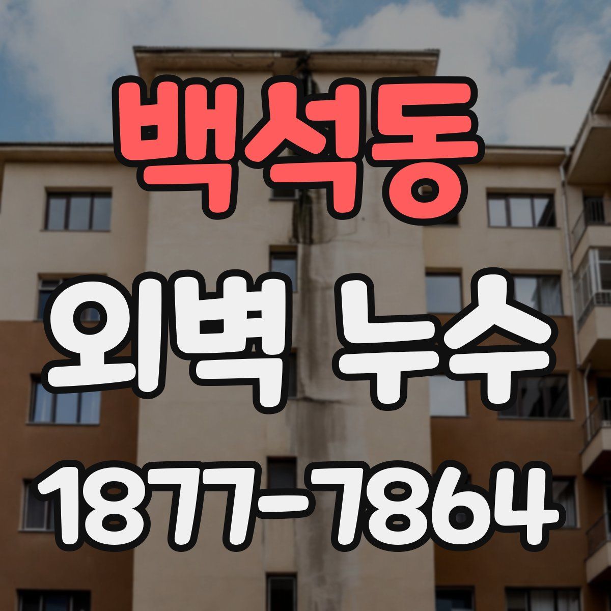백석동 외벽 누수