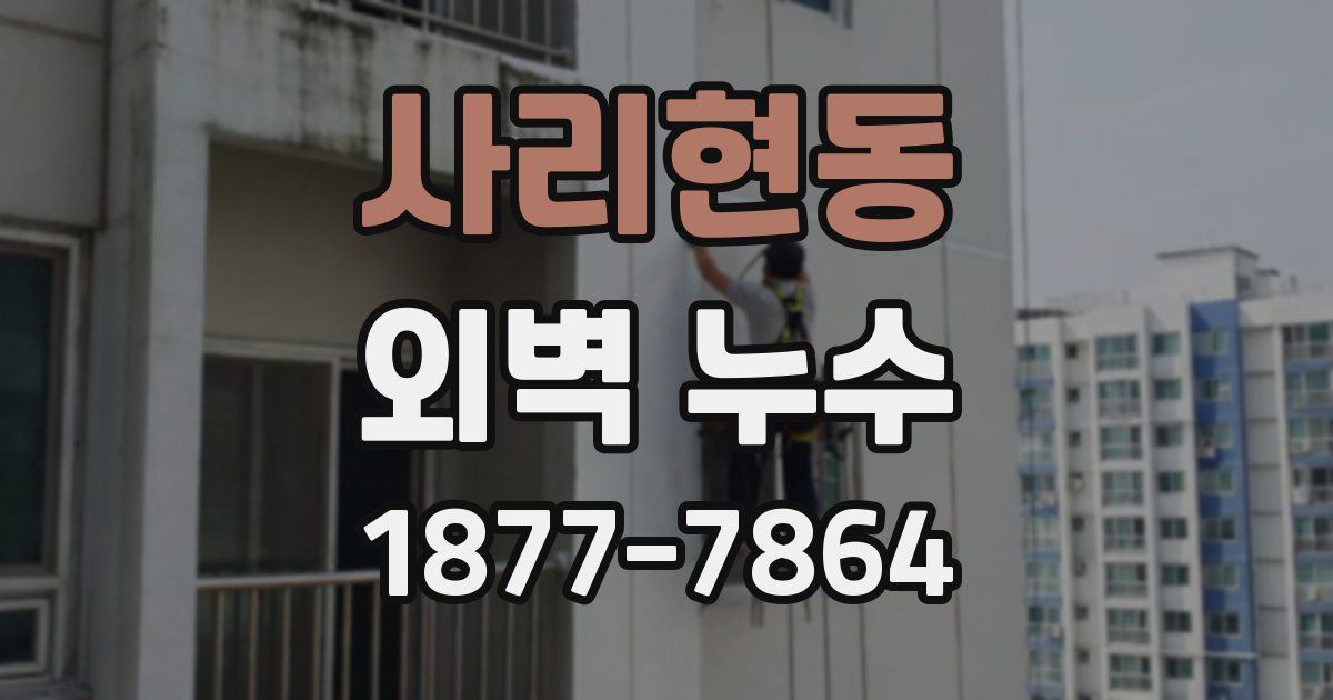 사리현동 외벽 누수