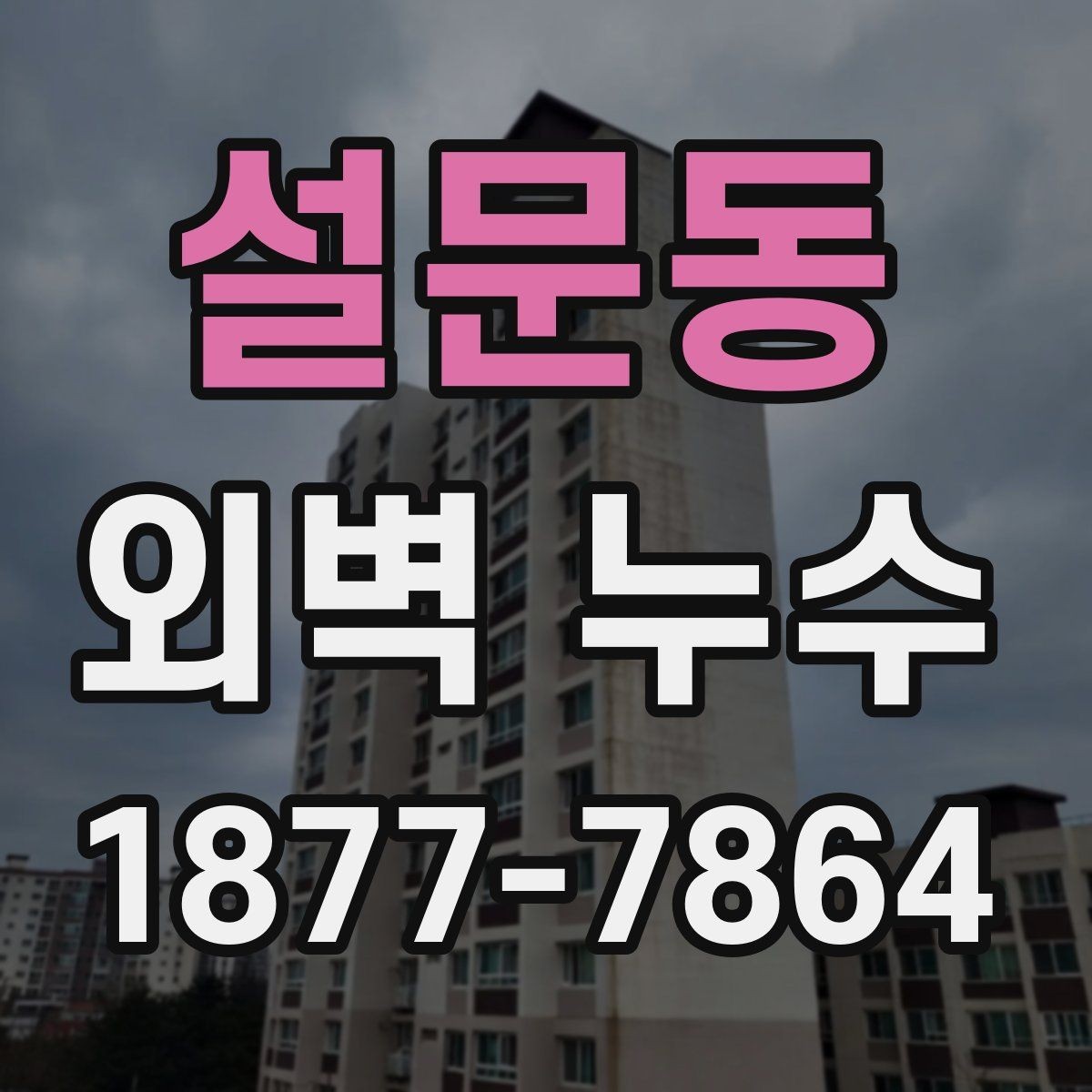 설문동 외벽 누수 점검 시 전문가가 보는 항목