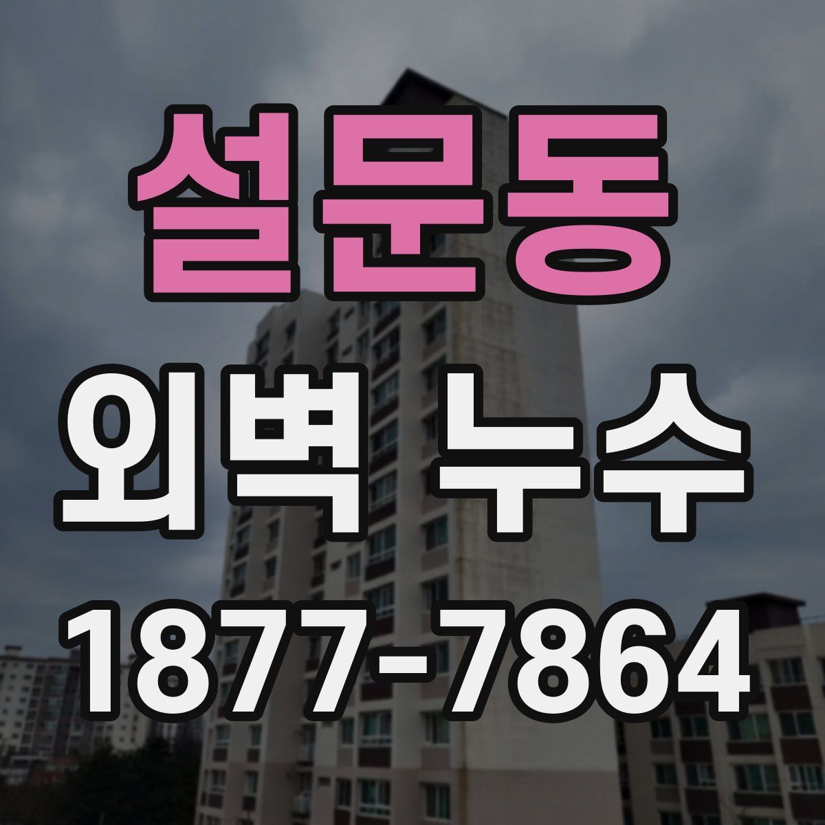 설문동 외벽 누수