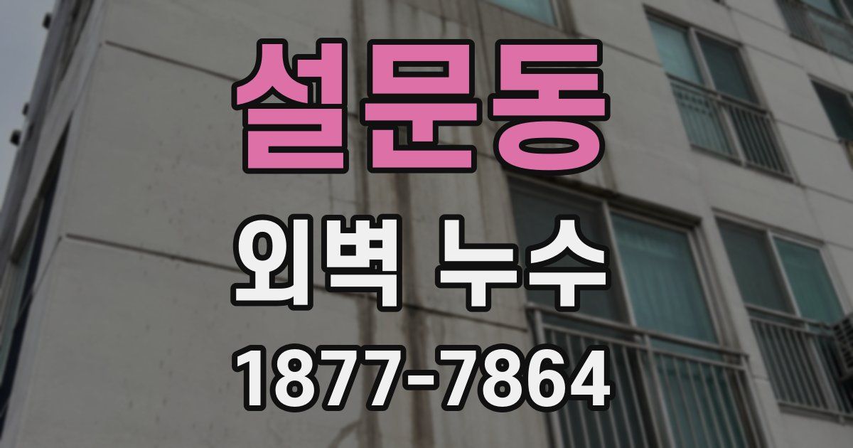 설문동 외벽 누수