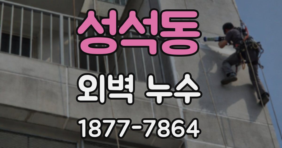 성석동 외벽 누수
