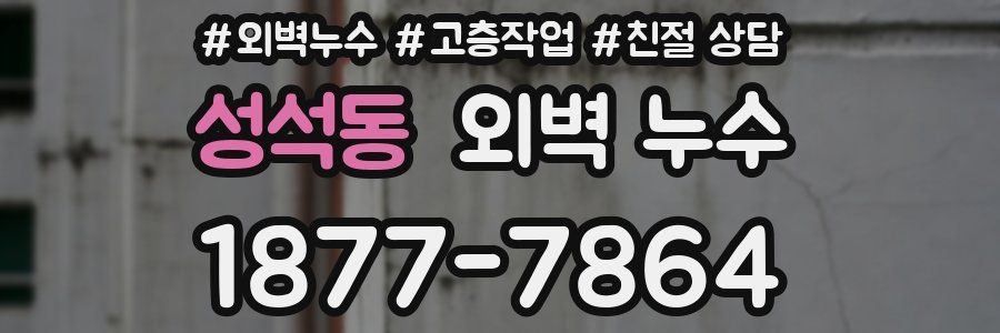 성석동 외벽 누수