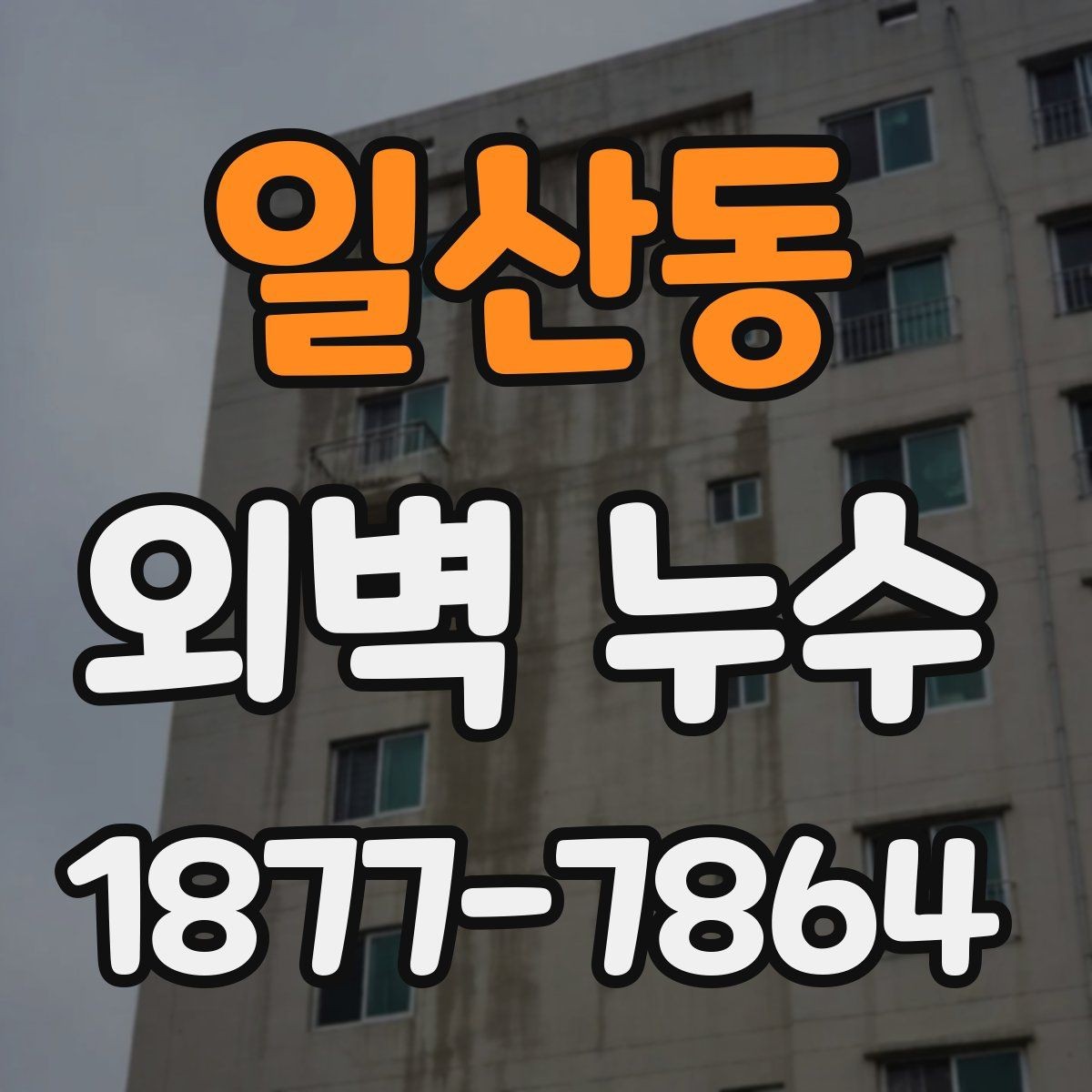 일산동 외벽 누수 누수 발생 위치에 따른 점검 요령