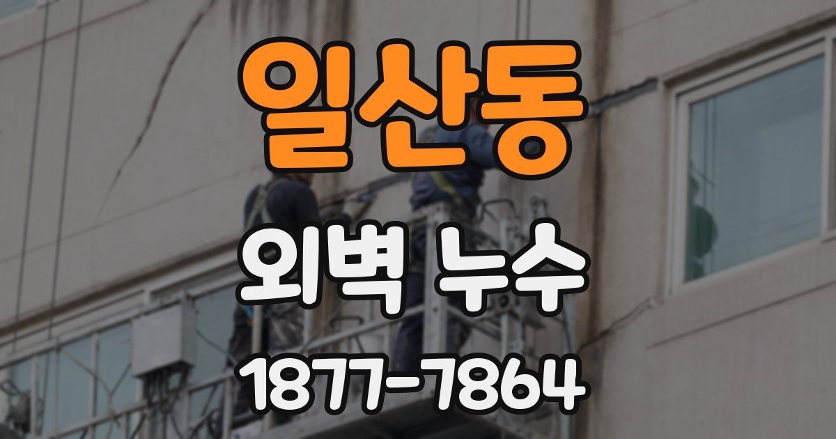 일산동 외벽 누수