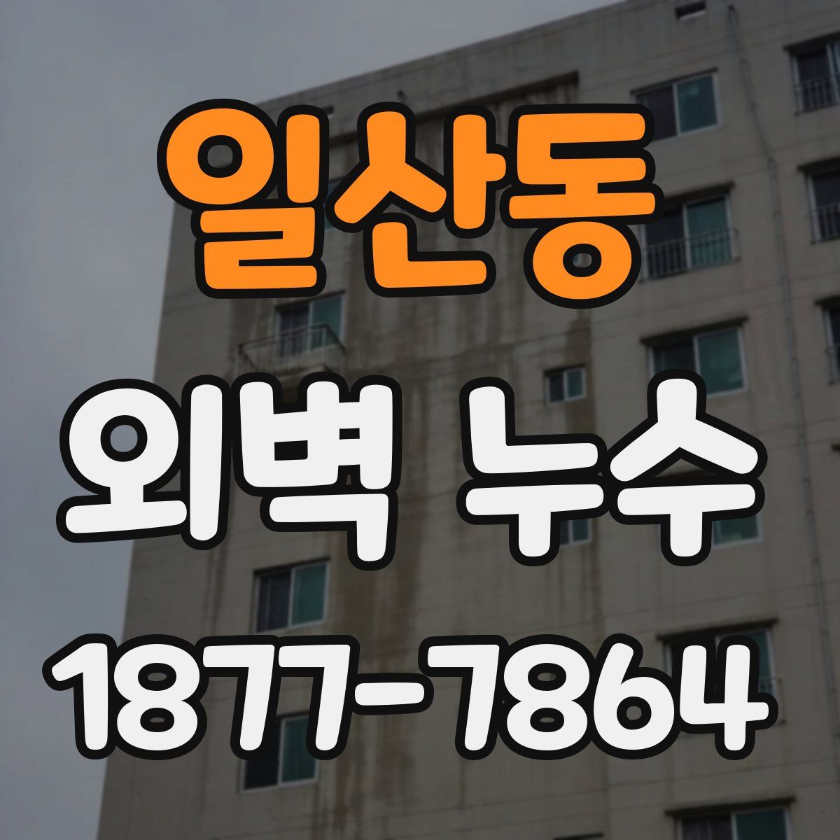 일산동 외벽 누수
