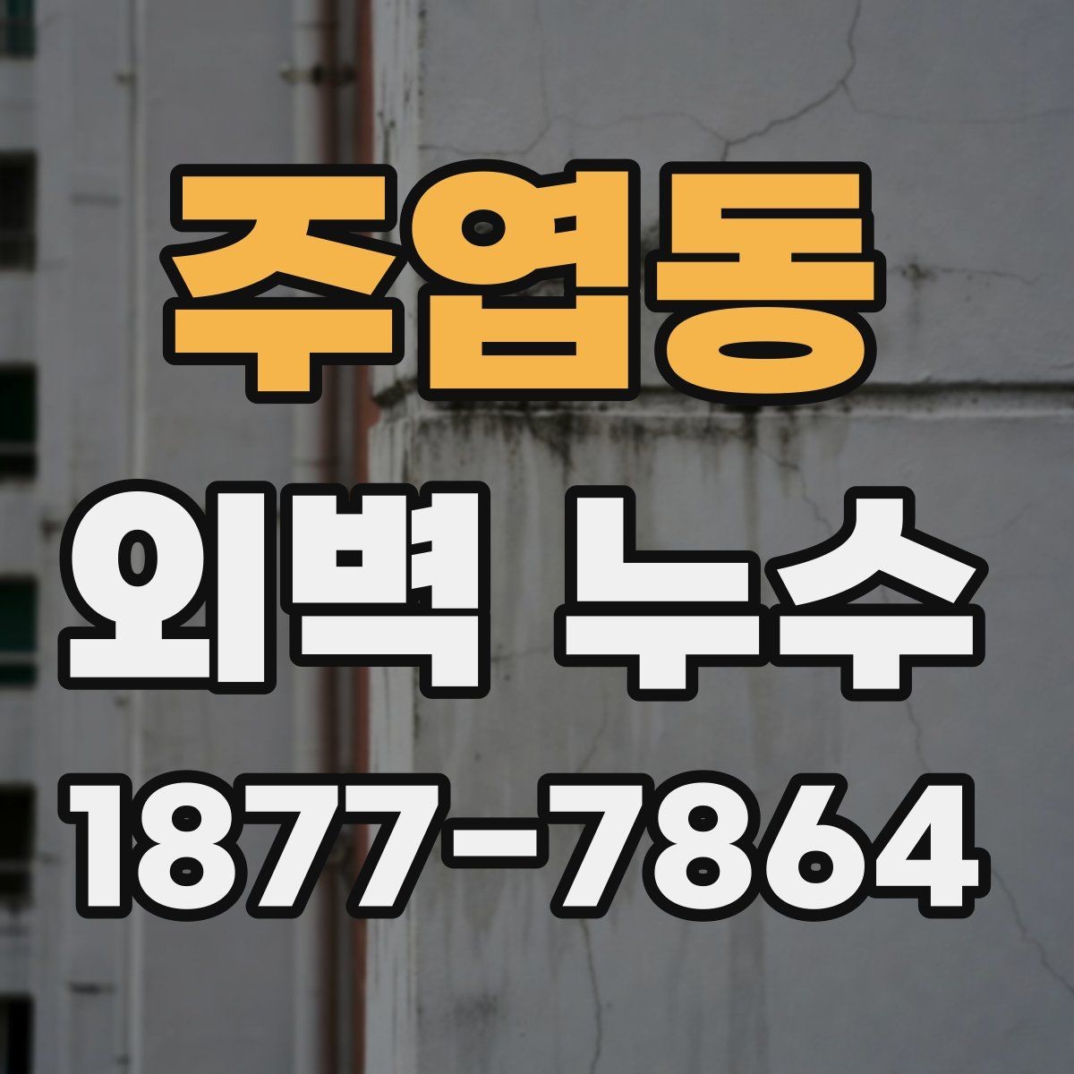 주엽동 외벽 누수 보수 전 알아둘 핵심 사항