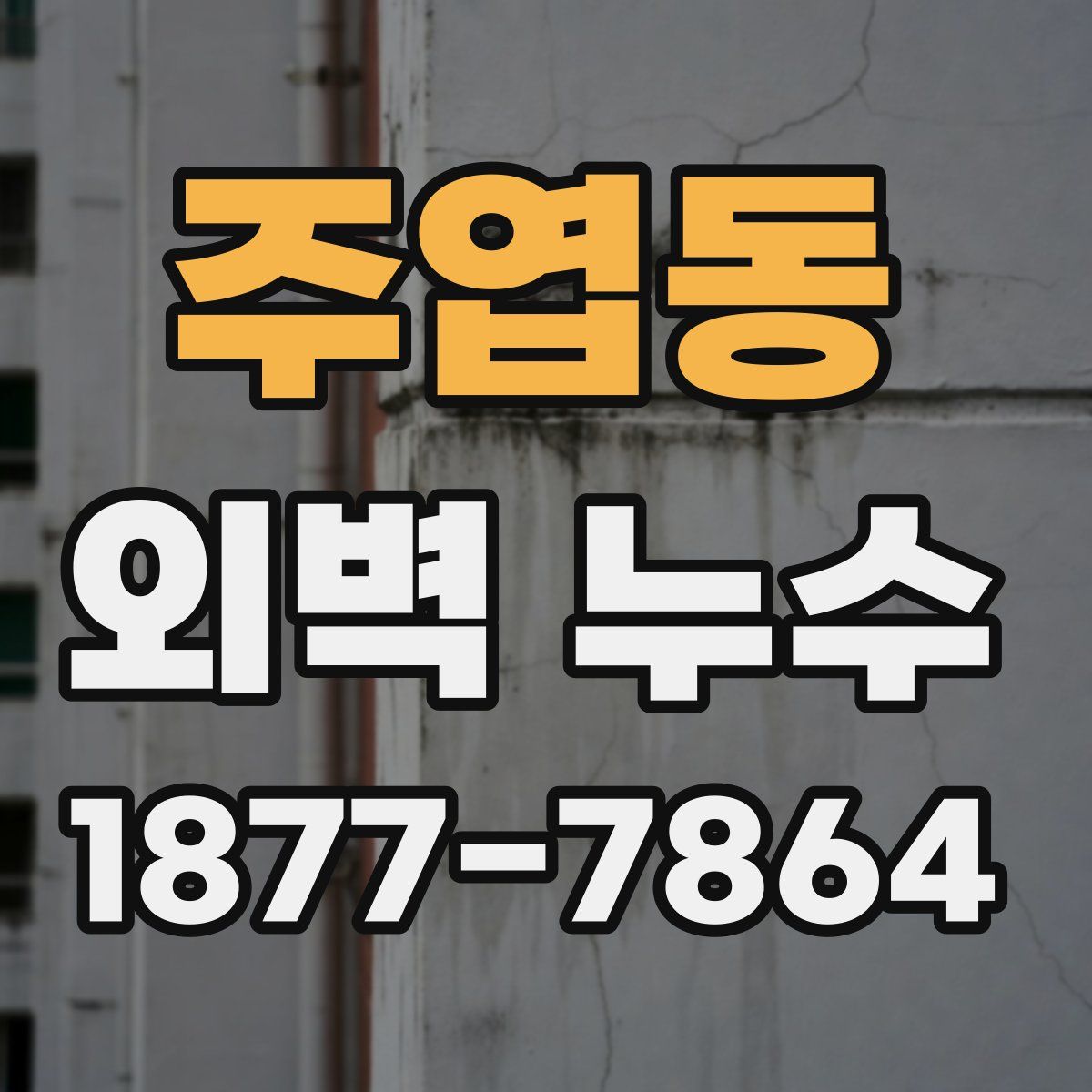 주엽동 외벽 누수