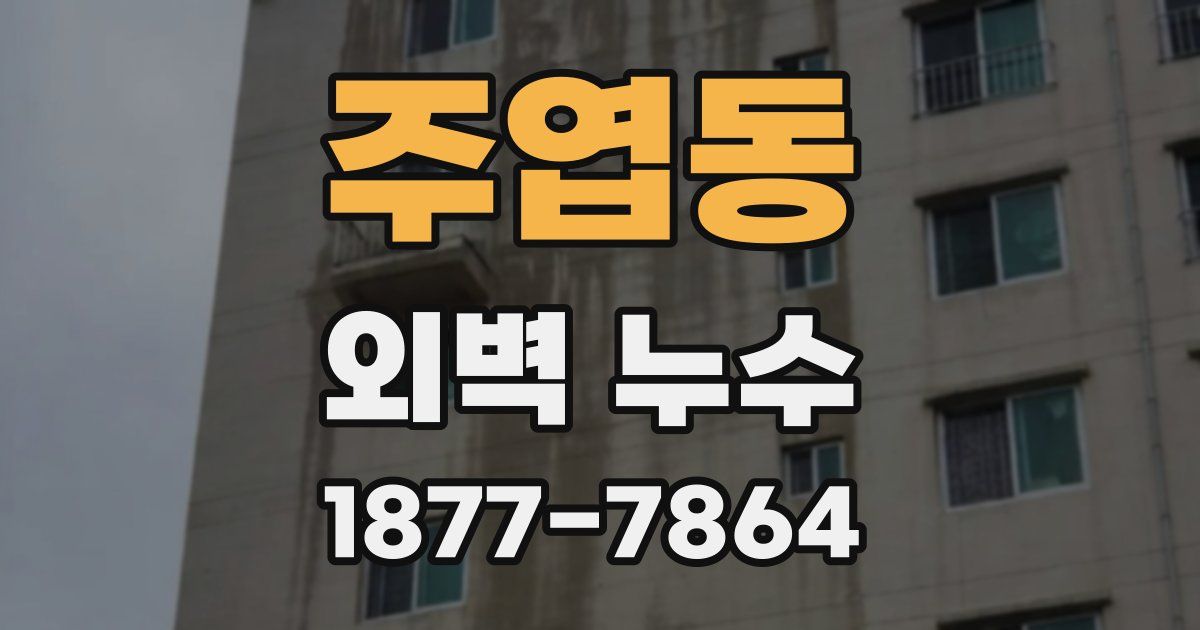 주엽동 외벽 누수