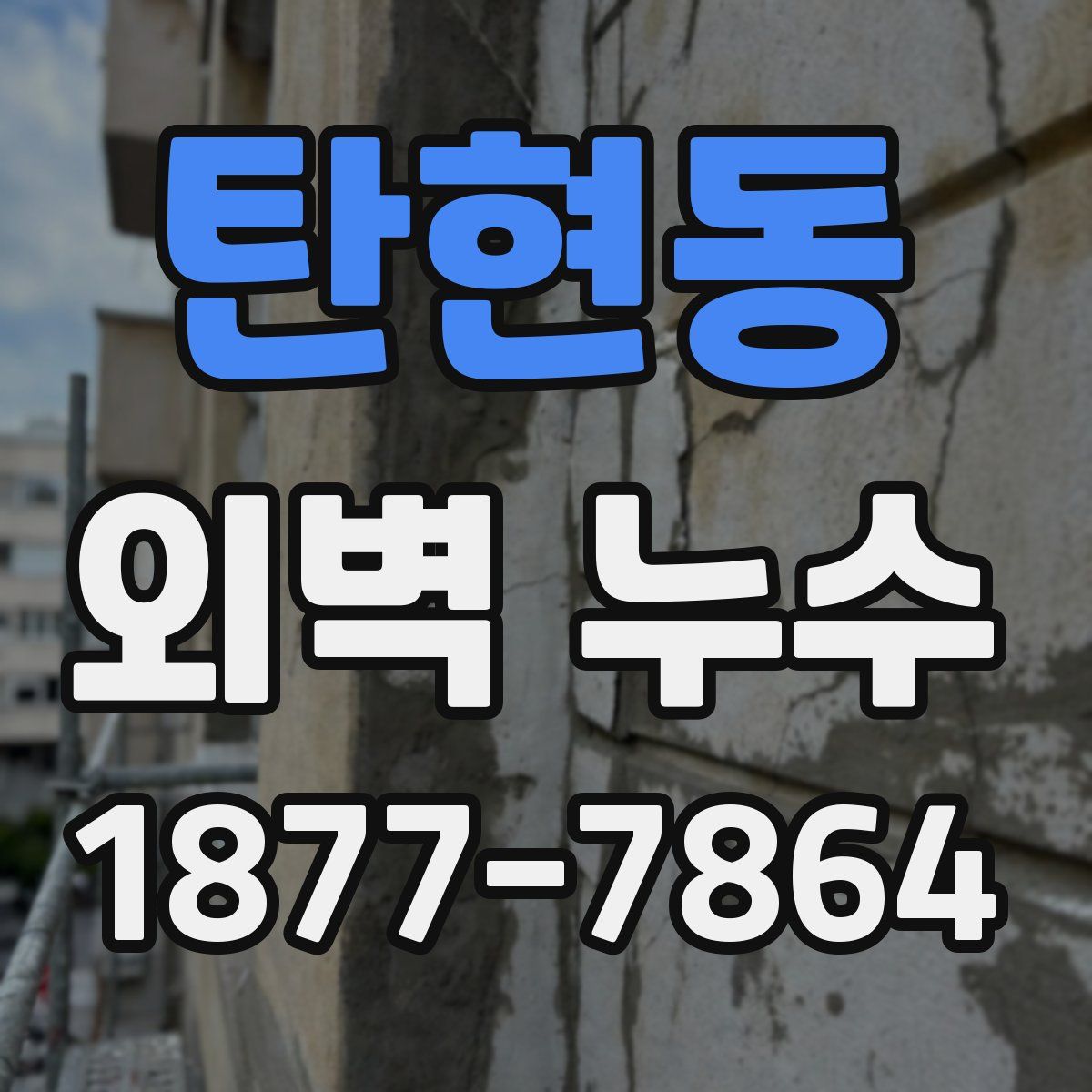 탄현동 외벽 누수