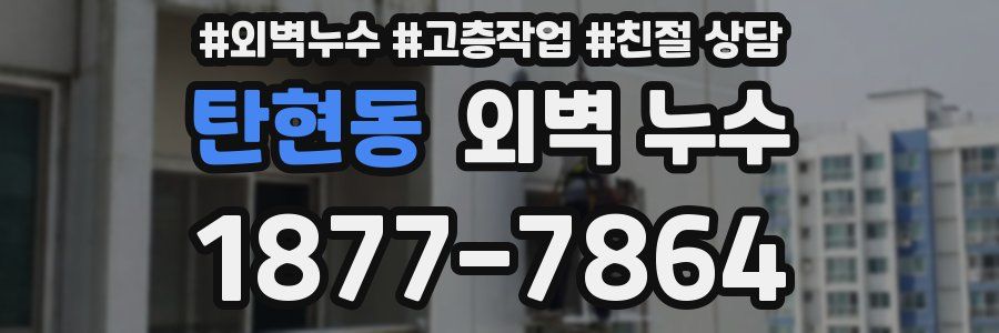 탄현동 외벽 누수