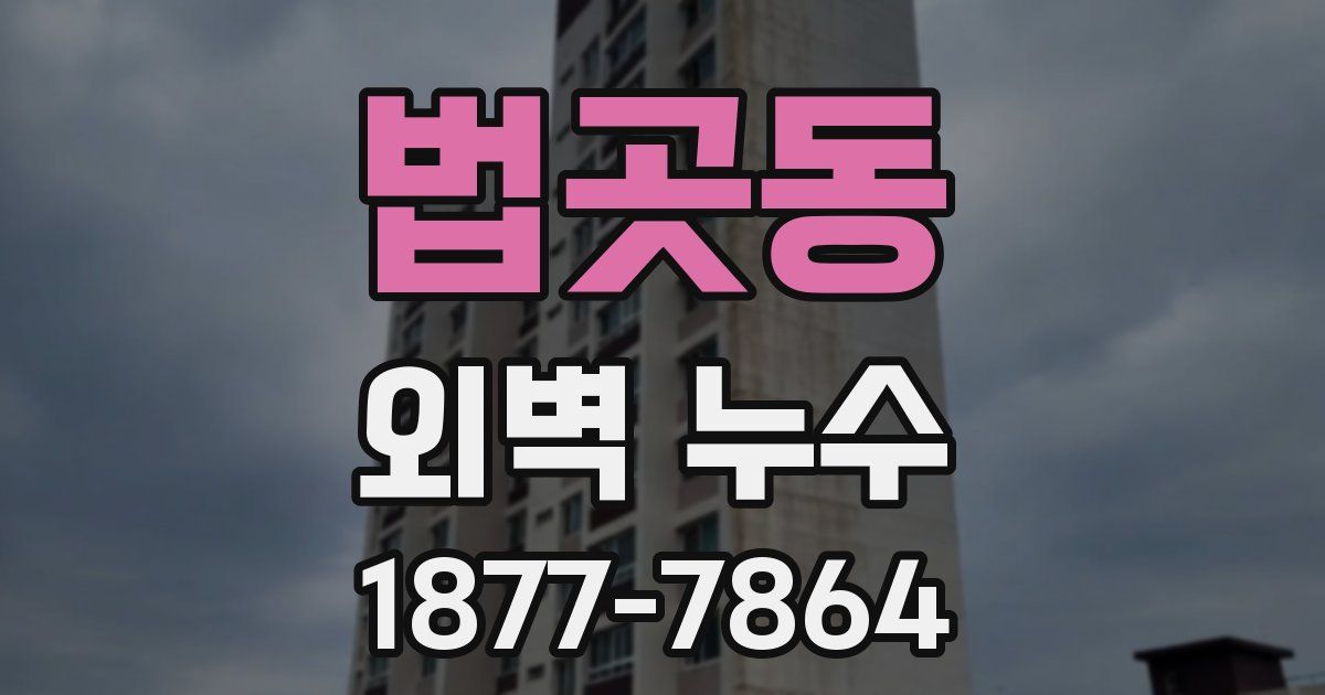 법곳동 외벽 누수