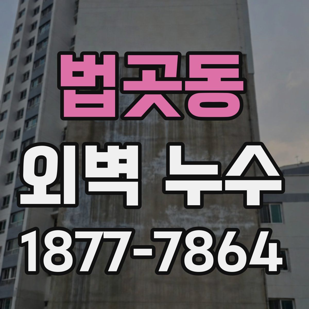 법곳동 외벽 누수