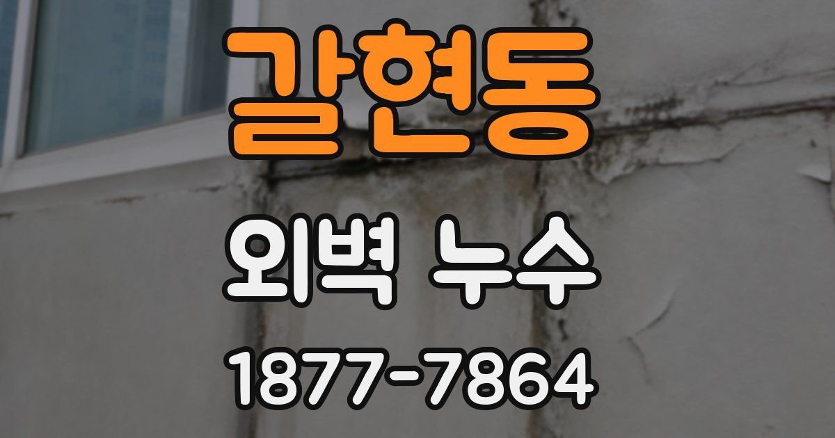 갈현동 외벽 누수
