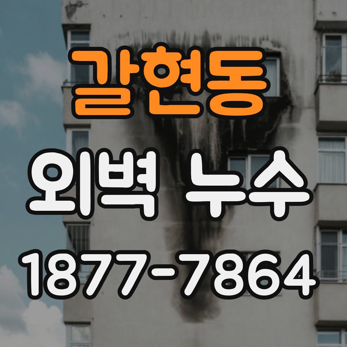 갈현동 외벽 누수