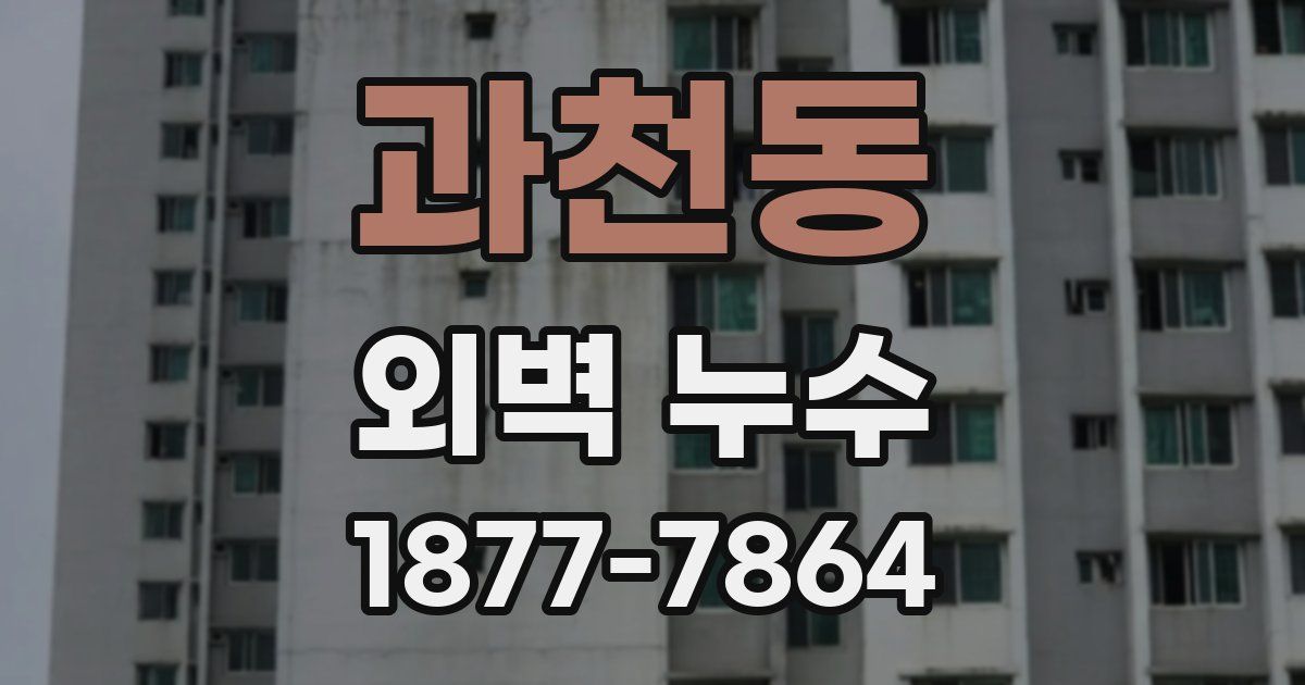 과천동 외벽 누수