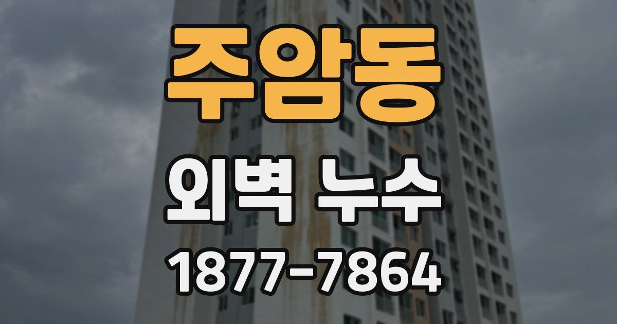 주암동 외벽 누수