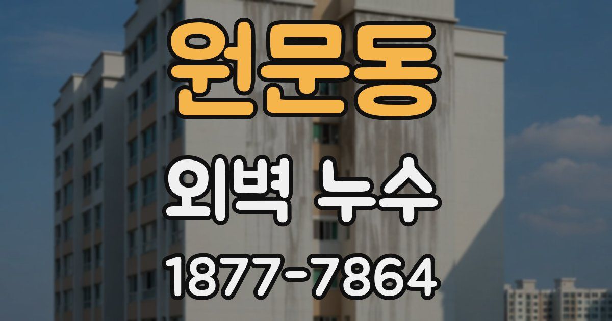 원문동 외벽 누수