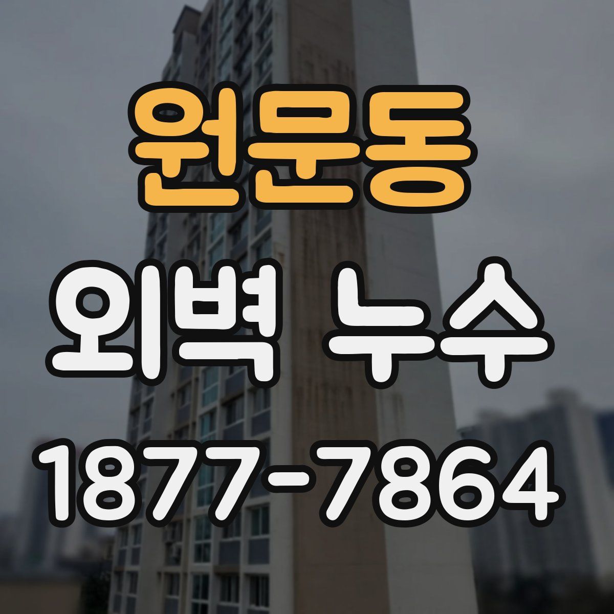 원문동 외벽 누수