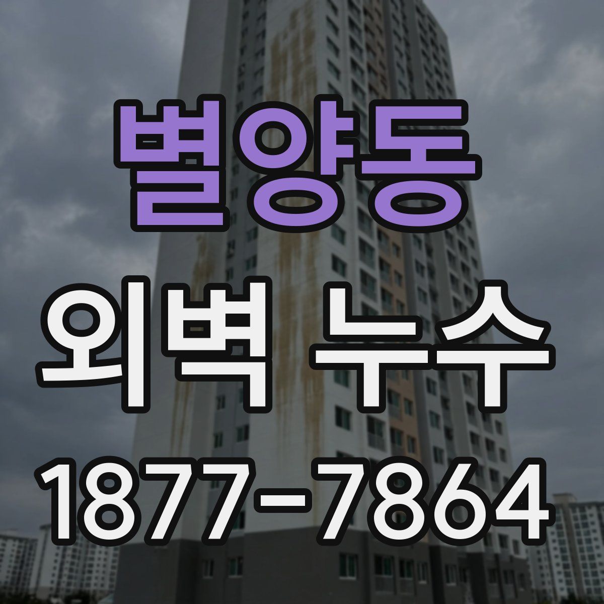 별양동 외벽 누수