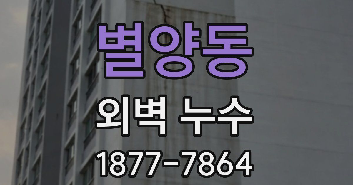 별양동 외벽 누수