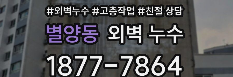 별양동 외벽 누수