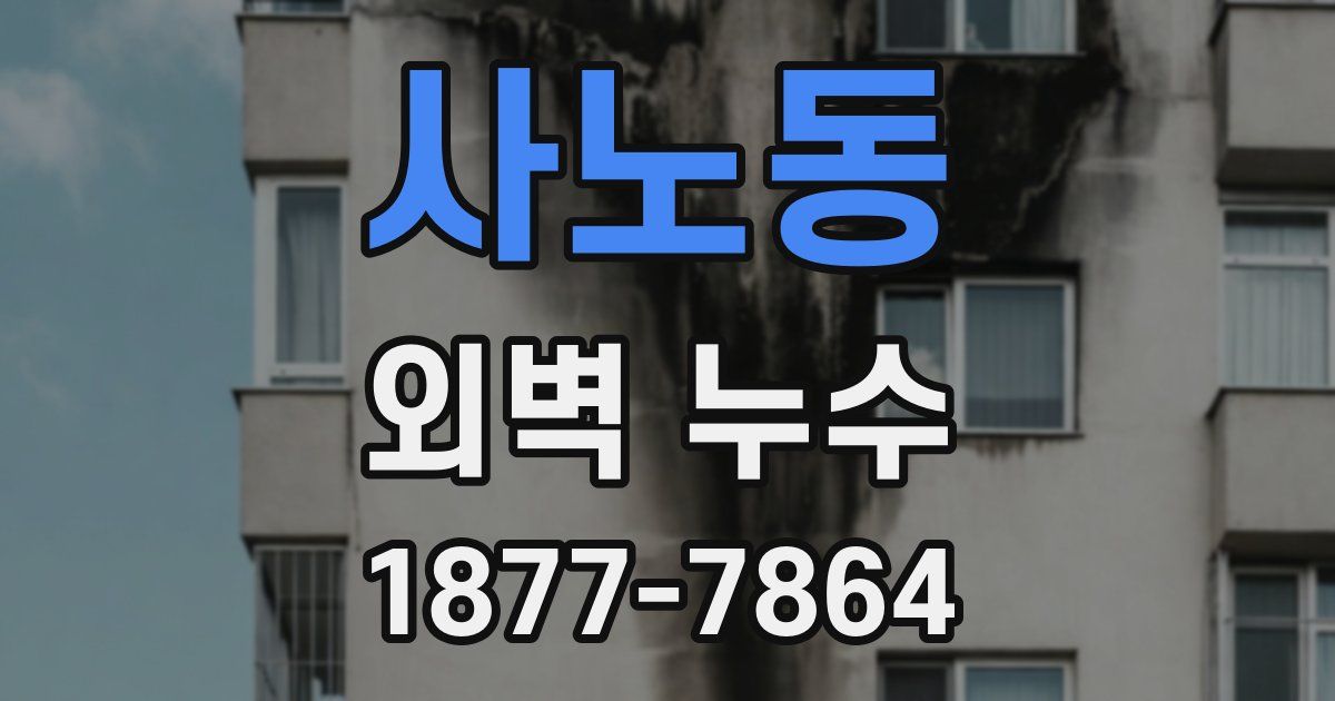사노동 외벽 누수