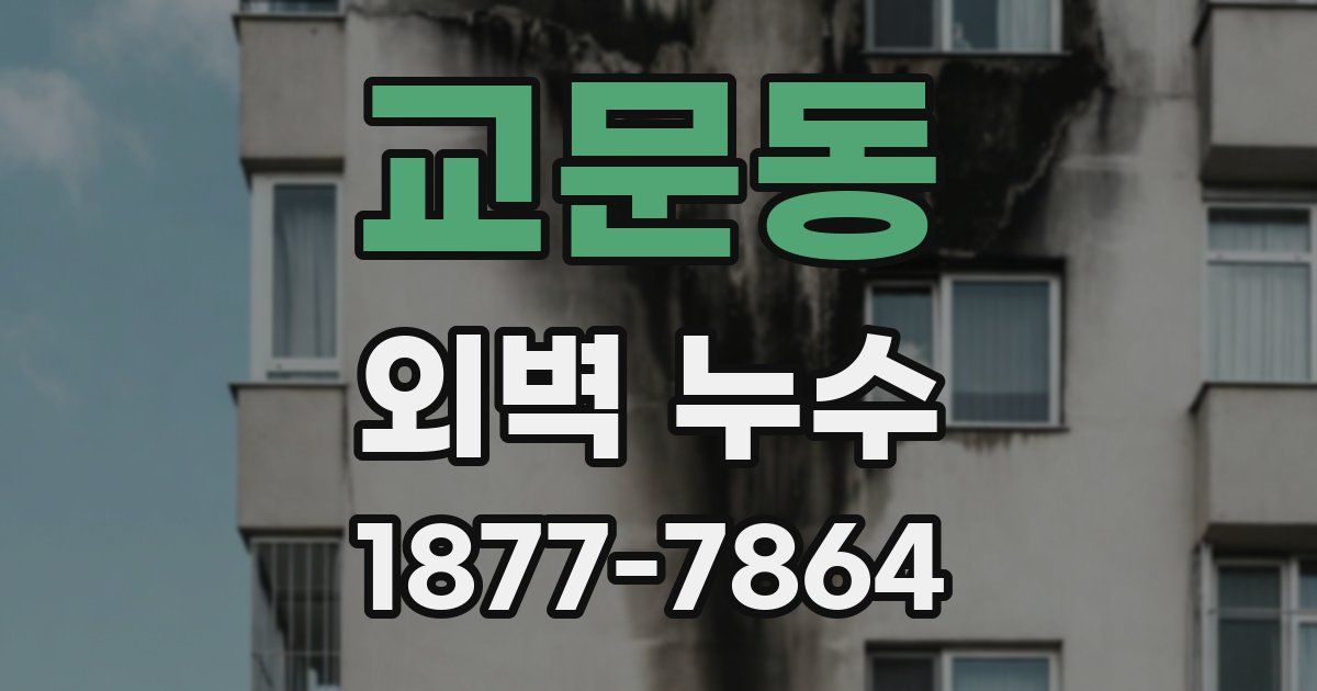 교문동 외벽 누수
