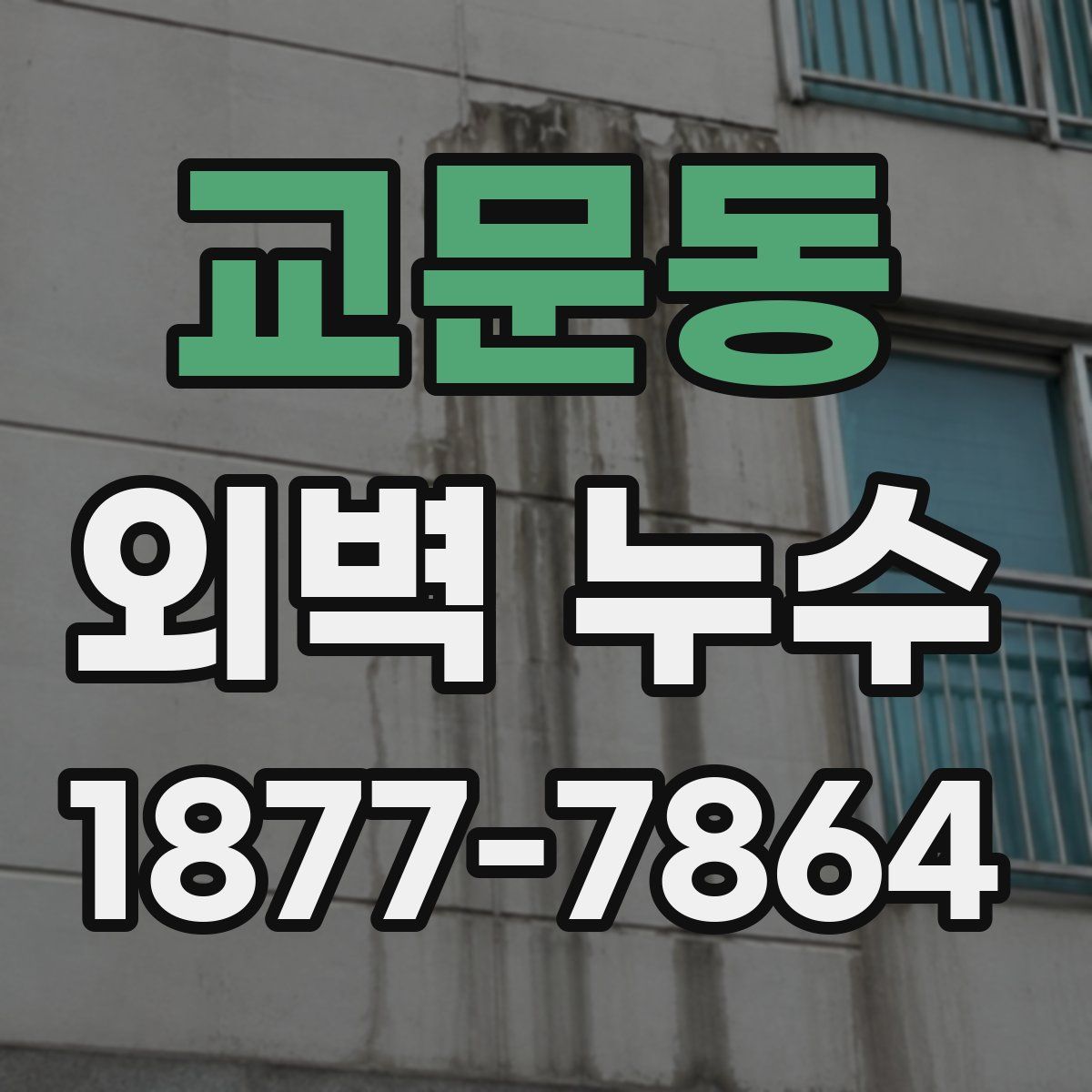 교문동 외벽 누수
